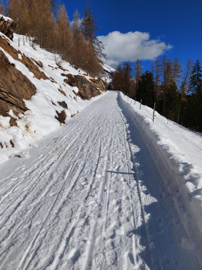 Ferienwohnung Mit Charme - Lenzerheide Lain Vaz-Obervaz エクステリア 写真